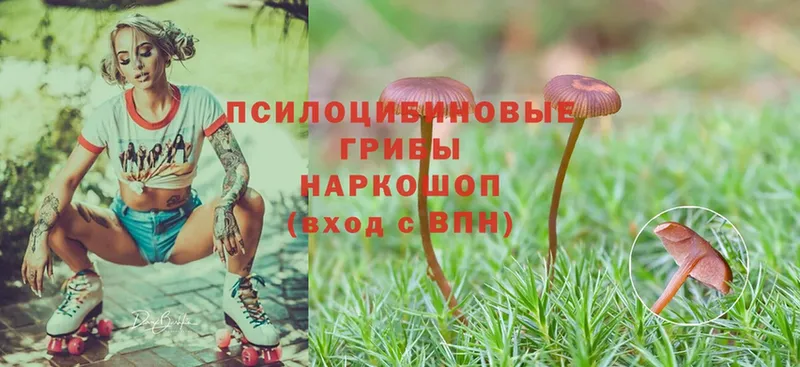 Галлюциногенные грибы Magic Shrooms  Бирск 